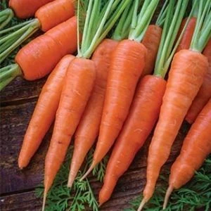 Carrots
