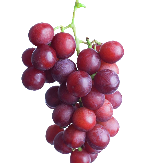 Grapes